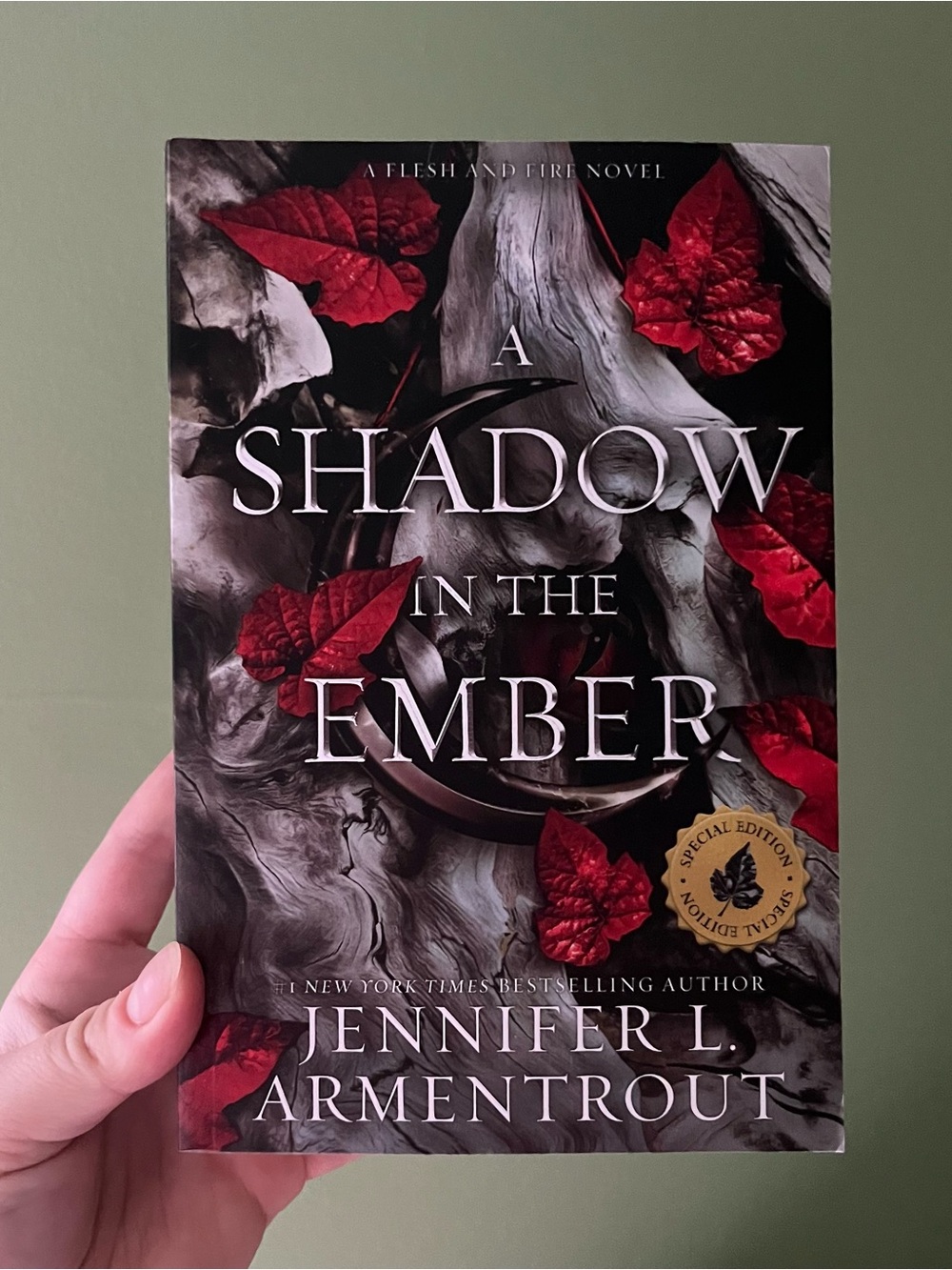 A Shadow in the Ember by Jennifer L. Armentrout | Booktok Fantasy Book